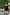 175cm/5ft9 E-cup Silicone Sex Doll – Xanthe Donne - Silicone Love Doll